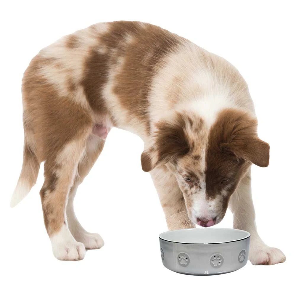 Keramieken Voerbak 'zilverpoten' 3 Keramieken Voerbak 'zilverpoten' - Afbeelding 3