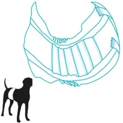 Luier Voor De Reu 7 Luier Voor De Reu -Benodigdheden Voor Huisdieren Winkel 075080 3