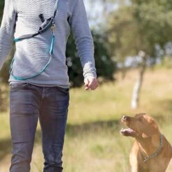 Zakjesdispenser Voor Hondenriem -Benodigdheden Voor Huisdieren Winkel 075135 3