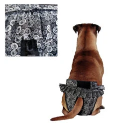 Loopsheidbroekje Ballerina 6 Loopsheidbroekje Ballerina -Benodigdheden Voor Huisdieren Winkel 075340 2