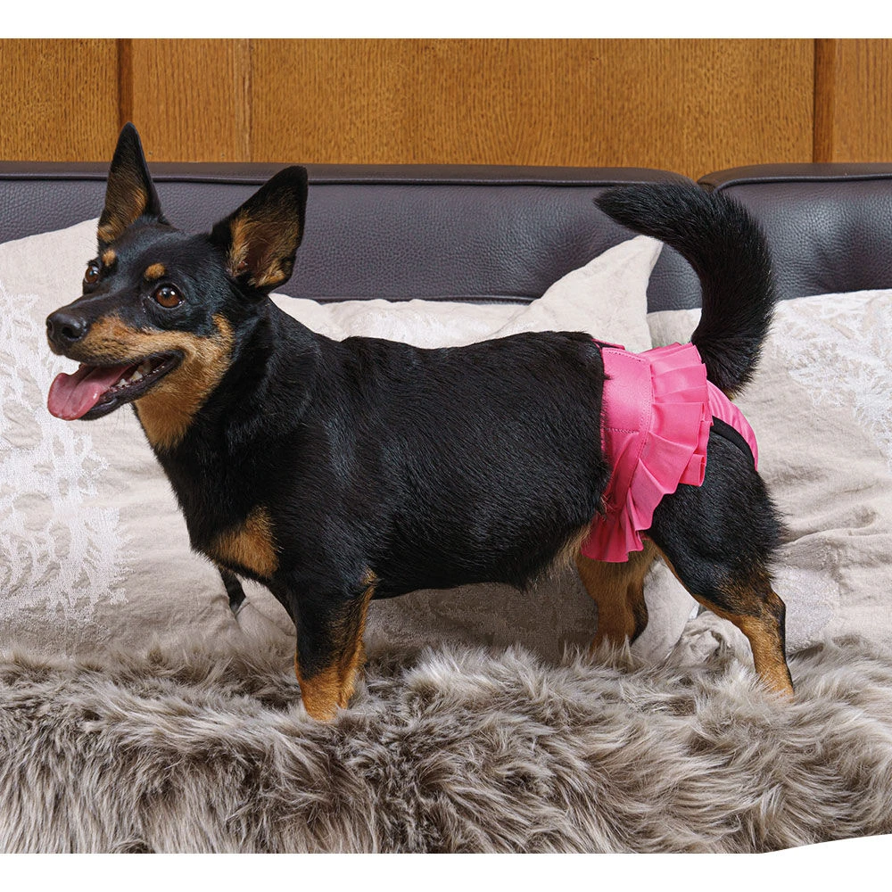 Loopsheidbroekje Ballerina 4 Loopsheidbroekje Ballerina - Afbeelding 4