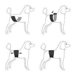 Plasband Voor Reuen JustinCase -Benodigdheden Voor Huisdieren Winkel 075350 3