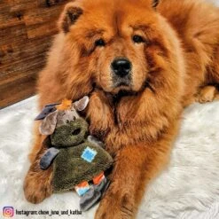 Pluchehond Lottchen -Benodigdheden Voor Huisdieren Winkel 0760131 3