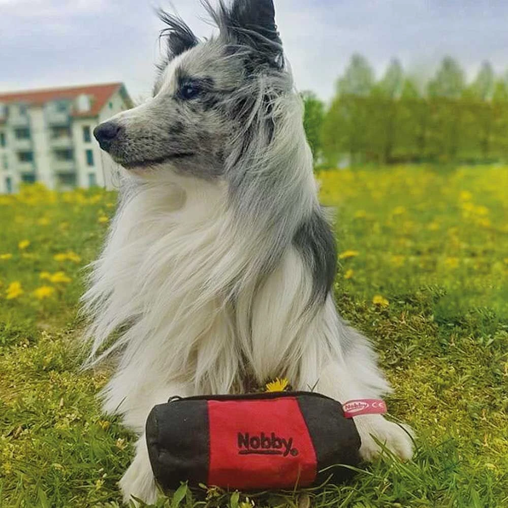 Snack Dummy Color 4 Snack Dummy Color - Afbeelding 4