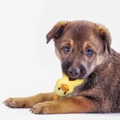 Puppy Speelgoed In Set -Benodigdheden Voor Huisdieren Winkel 0760213 2