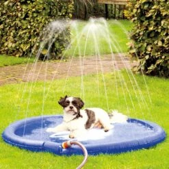 Honden-waterspeelmat Splashy Mat -Benodigdheden Voor Huisdieren Winkel 0760325 2