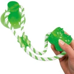 Zuignap-Zerri -Benodigdheden Voor Huisdieren Winkel 0760379 3