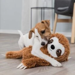 Hondenspeelgoed Luiaard -Benodigdheden Voor Huisdieren Winkel 0760409 4