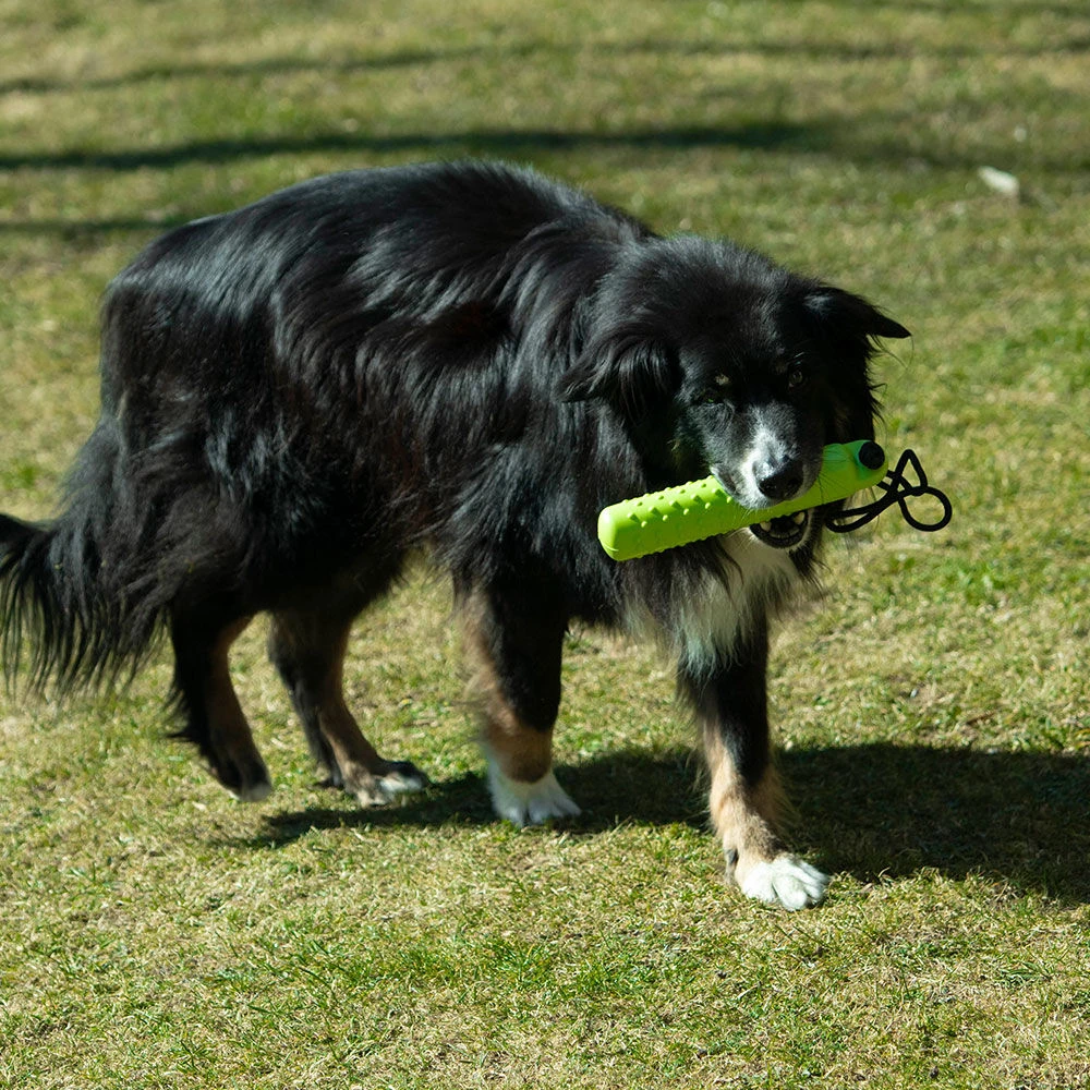 Snackdummy Silicone 3 Snackdummy Silicone - Afbeelding 3