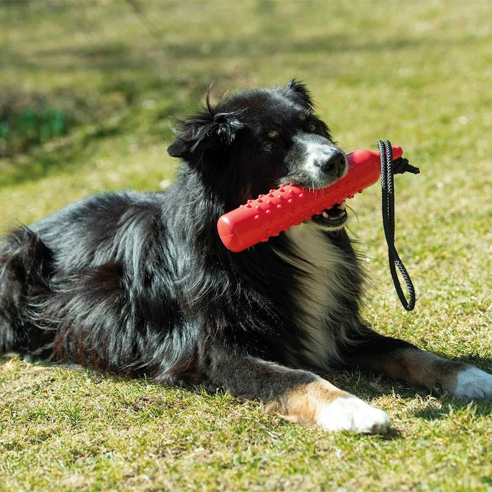 Apporteerdummy TPR 2 Apporteerdummy TPR - Afbeelding 2