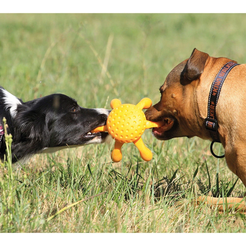 Kiwi Walker Octopus 3 Kiwi Walker Octopus - Afbeelding 3