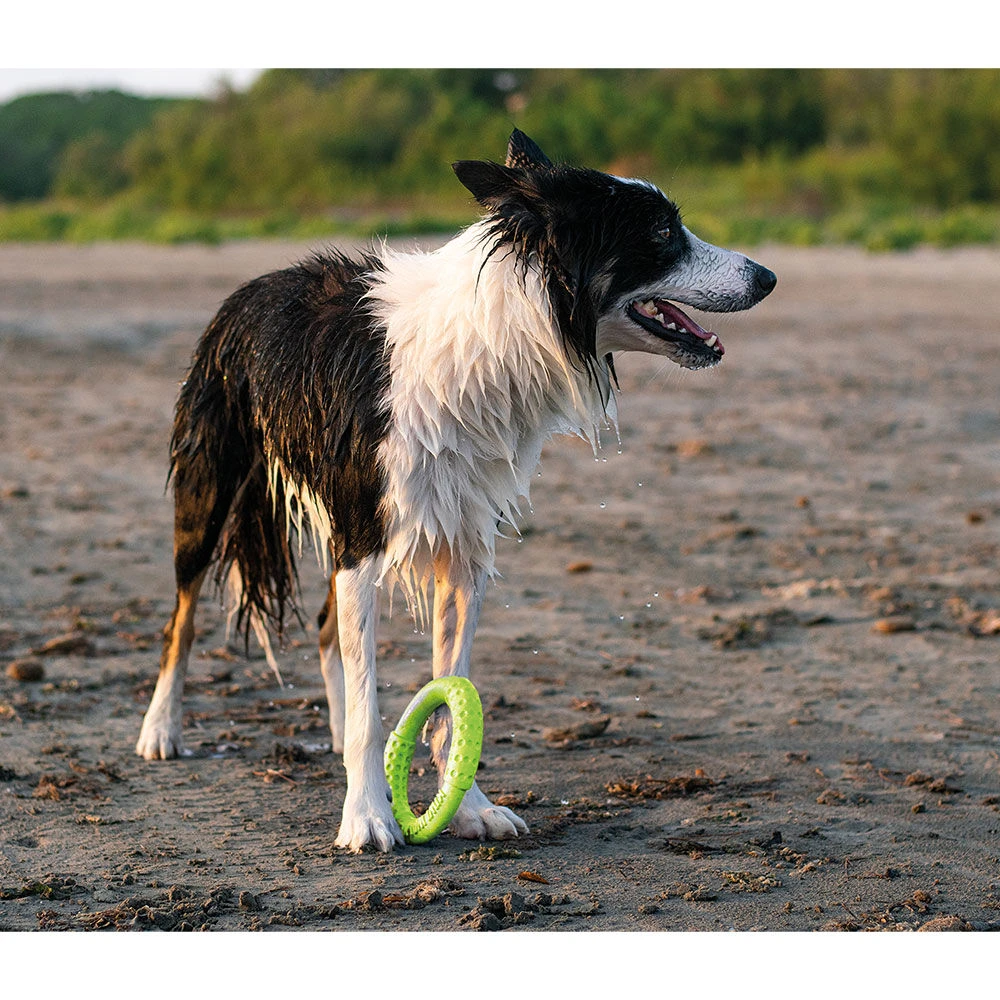 Kiwi Walker Ring 3 Kiwi Walker Ring - Afbeelding 3