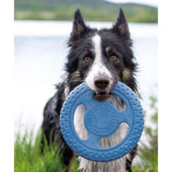 Kiwi Walker Frisbee -Benodigdheden Voor Huisdieren Winkel 0760568 2