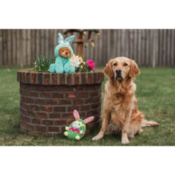 Paashaas Barry -Benodigdheden Voor Huisdieren Winkel 0760606 3