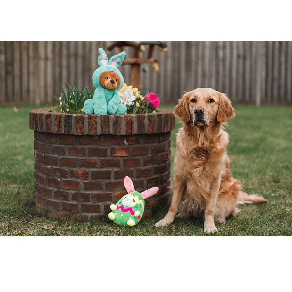 Konijn In Ei 4 Konijn In Ei - Afbeelding 4