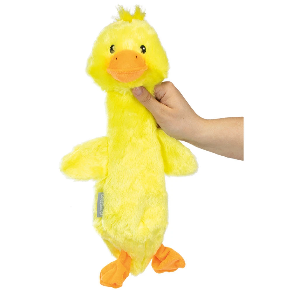 Kuiken Piep 2 Kuiken Piep - Afbeelding 2