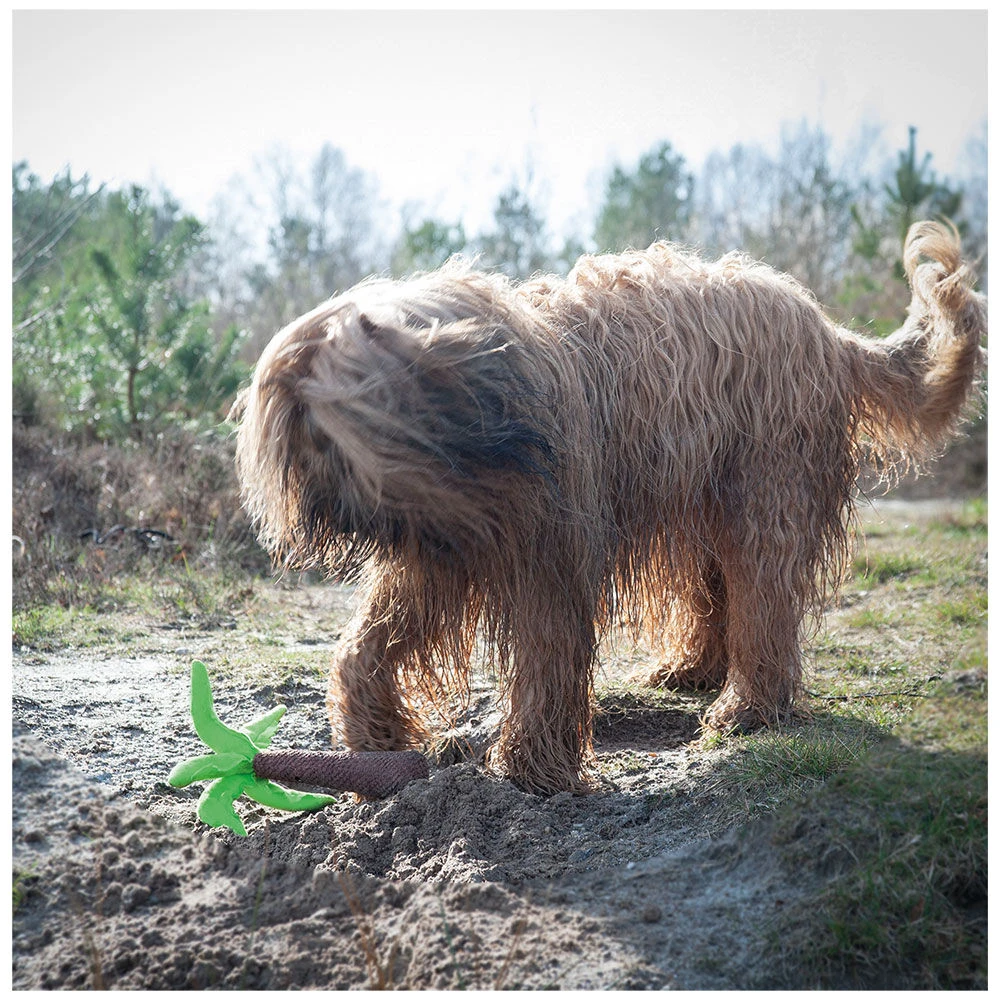 Pluchen Palm 4 Pluchen Palm - Afbeelding 4