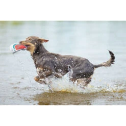 Koelkussen Meloen -Benodigdheden Voor Huisdieren Winkel 0760619 2