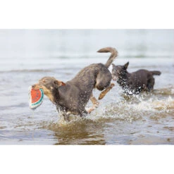 Koelkussen Meloen -Benodigdheden Voor Huisdieren Winkel 0760619 3