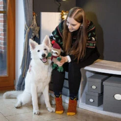 Kerstspeelgoed Multitouw -Benodigdheden Voor Huisdieren Winkel 0760646 3