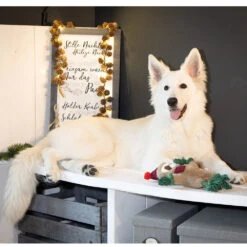 Kerstspeelgoed Multitouw -Benodigdheden Voor Huisdieren Winkel 0760646 4