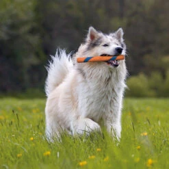 ChuckIt Ultra Fetch Stick -Benodigdheden Voor Huisdieren Winkel 0760676 2