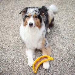 Likspeeltje -Benodigdheden Voor Huisdieren Winkel 0760685 3