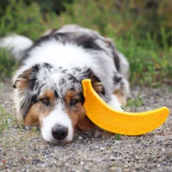 Likspeeltje -Benodigdheden Voor Huisdieren Winkel 0760685 4