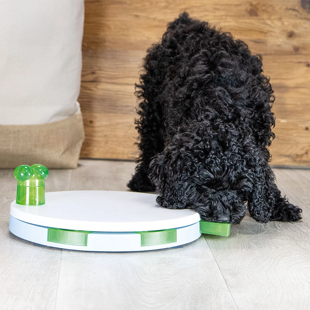 Beeztees Intelligentiespeeltje Seeky 4 Beeztees Intelligentiespeeltje Seeky - Afbeelding 4