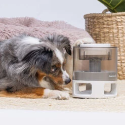 Beeztees Snackdispenser Delicious 8 Beeztees Snackdispenser Delicious -Benodigdheden Voor Huisdieren Winkel 0760691 3