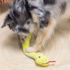 Beeztees Verstoppertje Speelgoed -Benodigdheden Voor Huisdieren Winkel 0760692 4