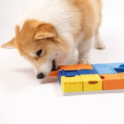 Pawzler Rainbow Set -Benodigdheden Voor Huisdieren Winkel 0760697 2