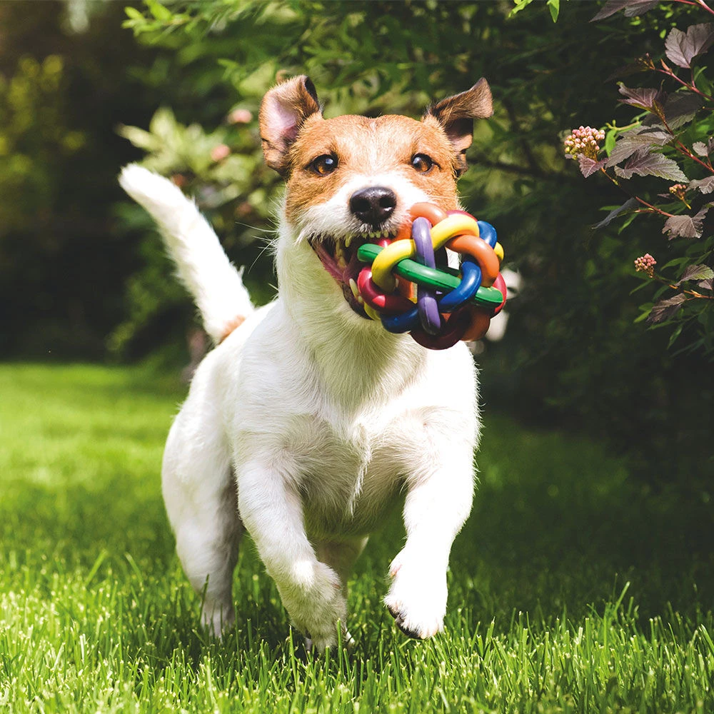 Trixie Knoopbal 2 Trixie Knoopbal - Afbeelding 2