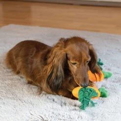 Pluchen Wortel Met Touw -Benodigdheden Voor Huisdieren Winkel 0760701 4