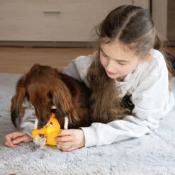 Quapas! Speeltje Met Touw -Benodigdheden Voor Huisdieren Winkel 0760722 3