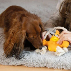 Quapas! Speeltje Met Touw -Benodigdheden Voor Huisdieren Winkel 0760722 4