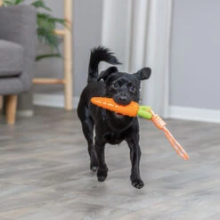 Trixie Wortel Aan Touw -Benodigdheden Voor Huisdieren Winkel 0760731 3