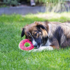 Hondenspeeltje Fruity Donut -Benodigdheden Voor Huisdieren Winkel 0760737 3