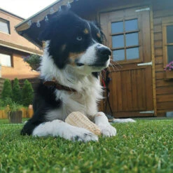 Geurende TPR Pinda -Benodigdheden Voor Huisdieren Winkel 0760738 3