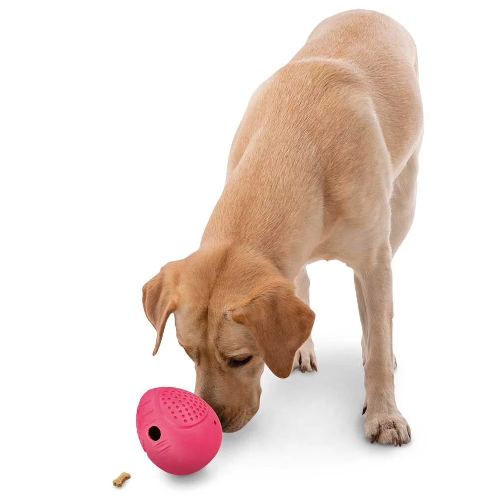 Hondenspeelgoed Snack-ei 2 Hondenspeelgoed Snack-ei - Afbeelding 2