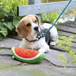 Pluchen Meloen -Benodigdheden Voor Huisdieren Winkel 076208 2