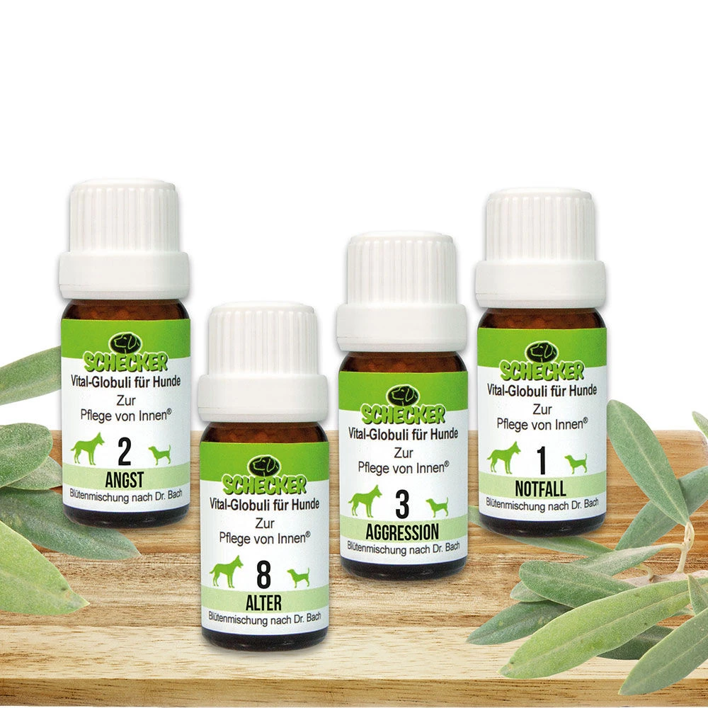 Schecker Vital Globuli 5 Schecker Vital Globuli - Afbeelding 5