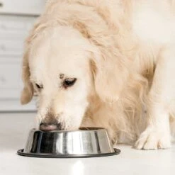 Cistus Incanus -Benodigdheden Voor Huisdieren Winkel 080369 2