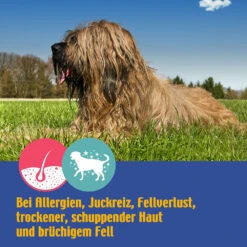 Voedingssupplement 'Vacht & Huid' 7 Voedingssupplement 'Vacht & Huid' -Benodigdheden Voor Huisdieren Winkel 080374 3