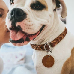 Hunter Solid Education Halsband, Kleur: Cognak -Benodigdheden Voor Huisdieren Winkel 0840019 2