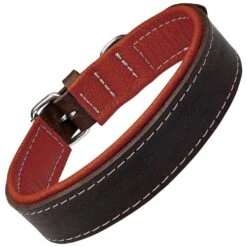 Benodigdheden Voor Huisdieren Winkel -Benodigdheden Voor Huisdieren Winkel 0840062 1