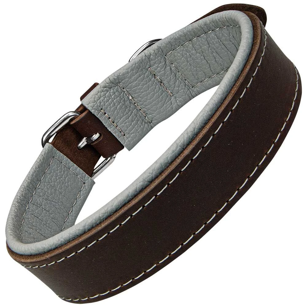 Schecker Hondenhalsband Moorfeuer, Kleur: Bruin/hemel 2 Schecker Hondenhalsband Moorfeuer, Kleur: Bruin/hemel - Afbeelding 2