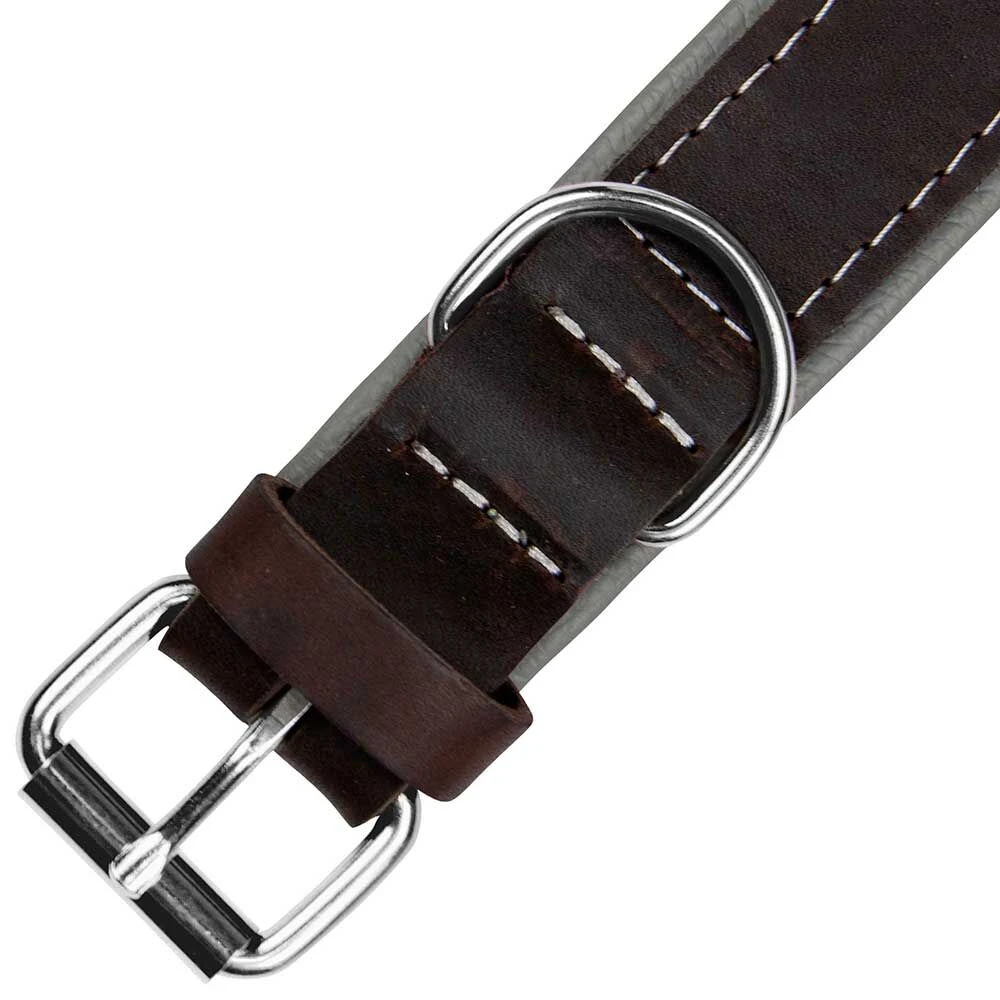 Schecker Hondenhalsband Moorfeuer, Kleur: Bruin/hemel 4 Schecker Hondenhalsband Moorfeuer, Kleur: Bruin/hemel - Afbeelding 4