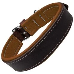 Benodigdheden Voor Huisdieren Winkel -Benodigdheden Voor Huisdieren Winkel 0840066 1