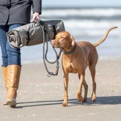Verlengriem BE NORDIC' -Benodigdheden Voor Huisdieren Winkel 0840072 2